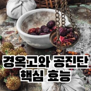 경옥고와 공진단의 핵심 효능