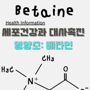 세포 건강과 대사 촉진을 돕는 필수 영양소 베타인