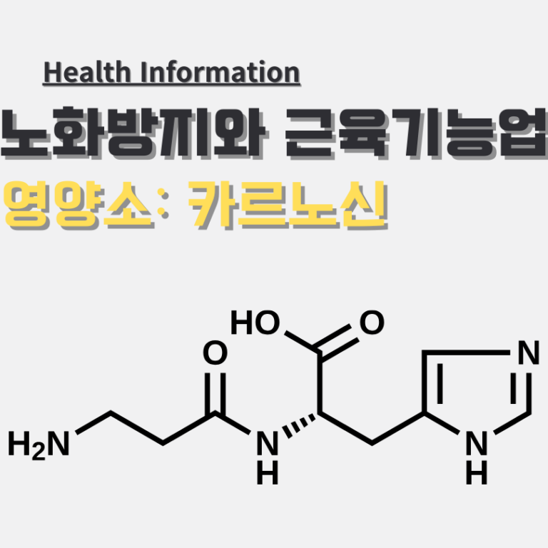 강력한 항산화 작용 및 노화 방지와 근육 건강을 돕는 필수 성분