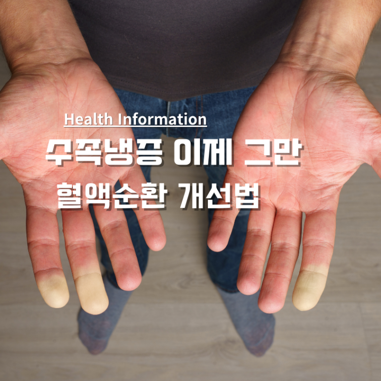 수족냉증 혈액순환 개선법